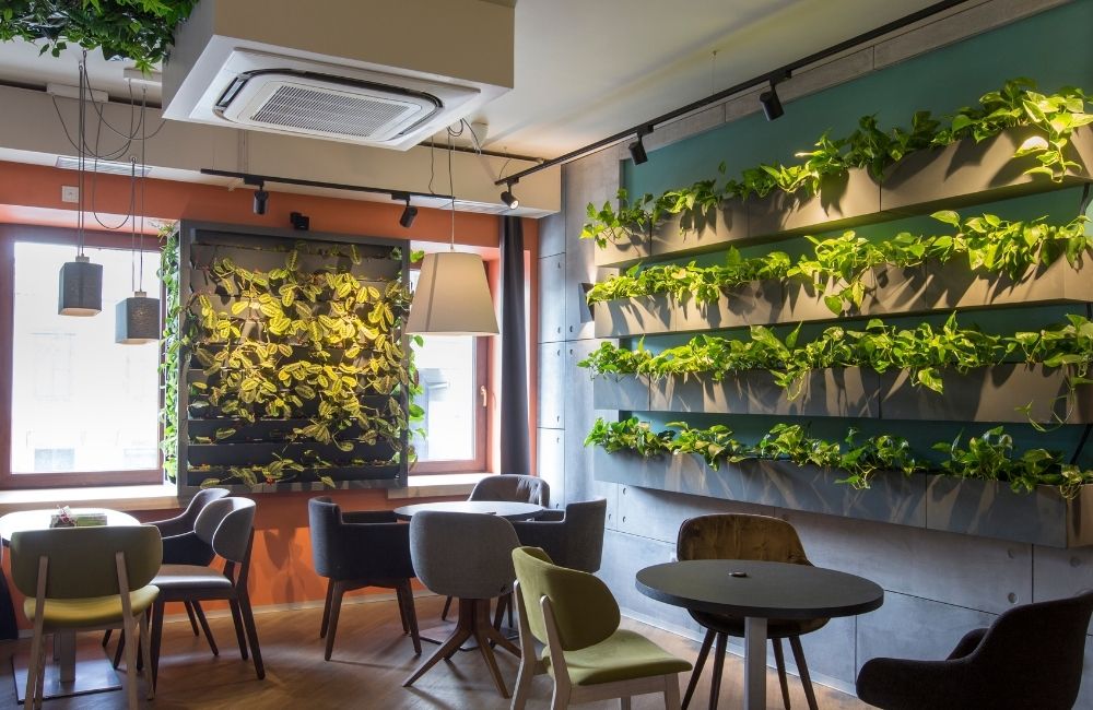 Modern cafe interior with common indoor plants like pothos growing on vertical walls