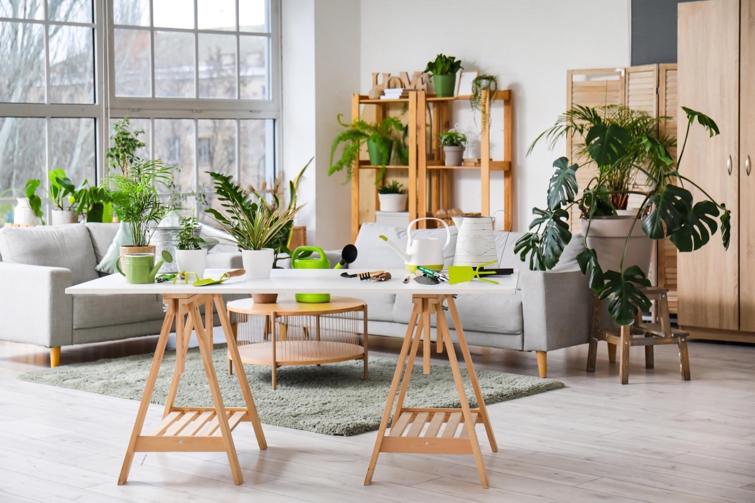Various low-light houseplants in a cozy, modern living room with gardening tools on the table