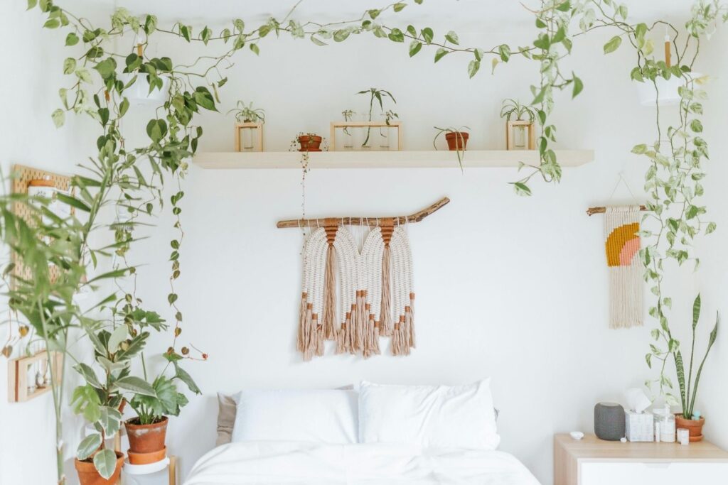 Minimalist bedroom with trailing indoor plants and woven wall art