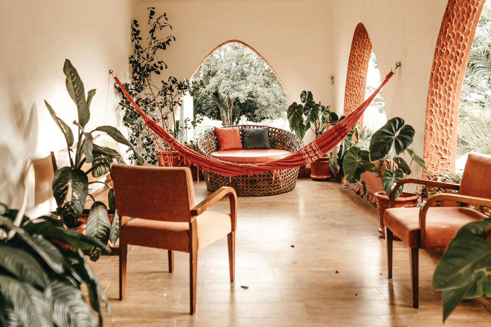 Indoor plants with natural light, hammock and cozy seating area