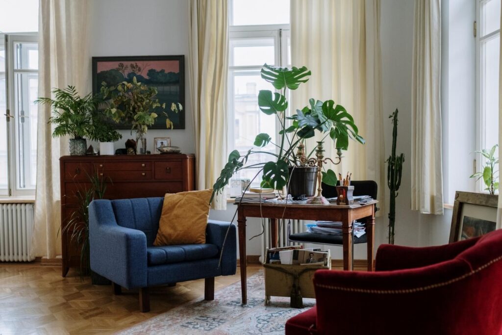 Bright living room with indoor plants including monstera and palms