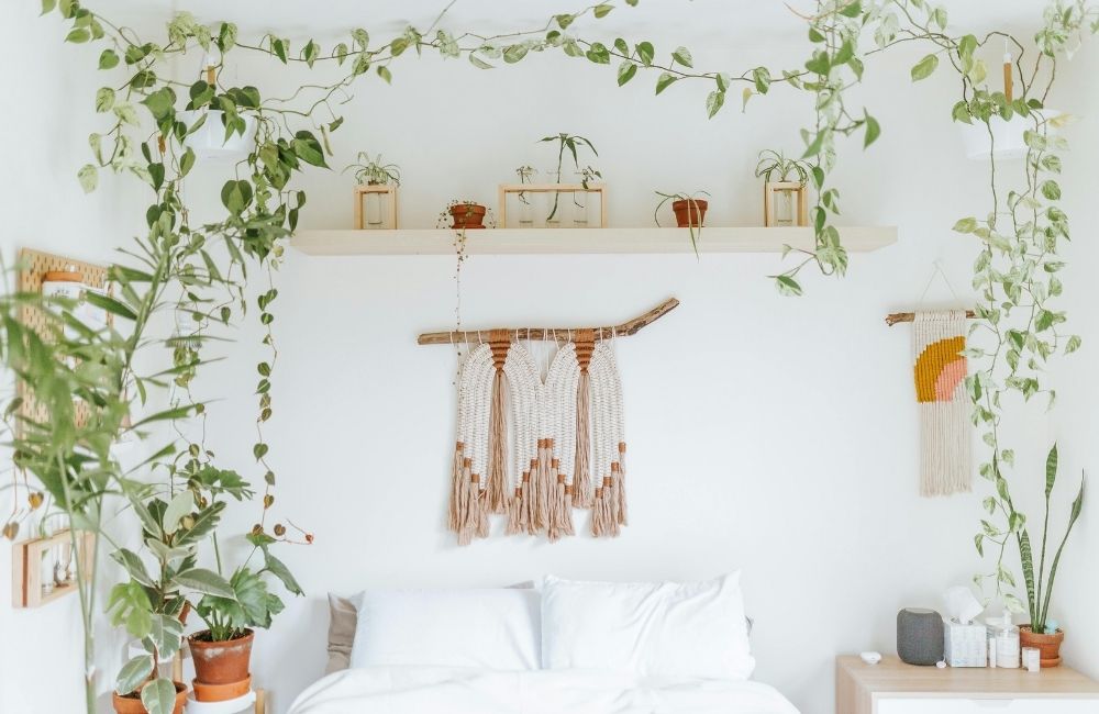 Trailing indoor vine plants hanging around a minimalist white bedroom with macramé decor