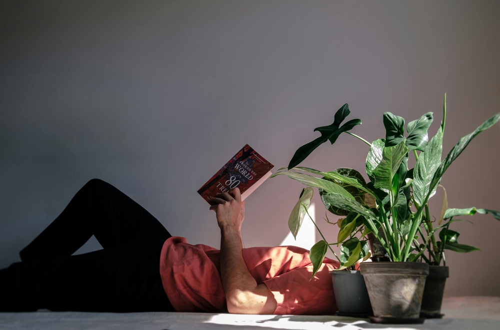 Person relaxing with tall low light houseplants indoors