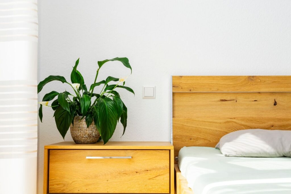 Peace Lily in a ceramic pot on a bedside table in a cozy bedroom