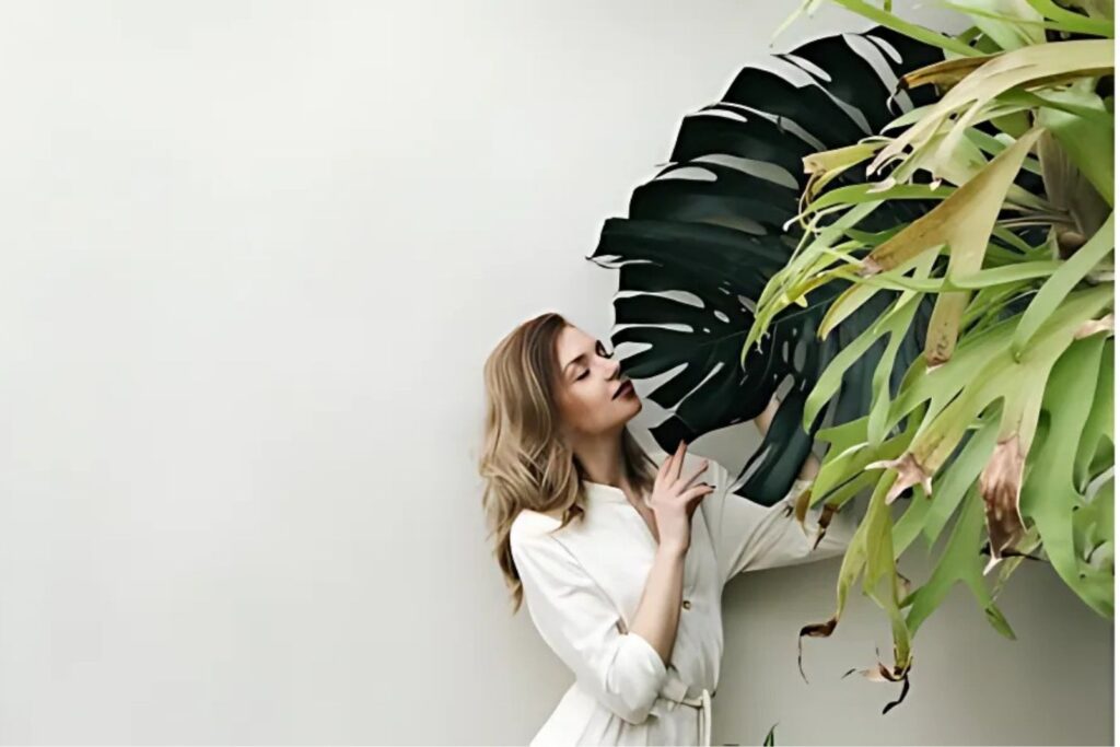 Woman standing next to large Philodendron leaves in minimalist setting