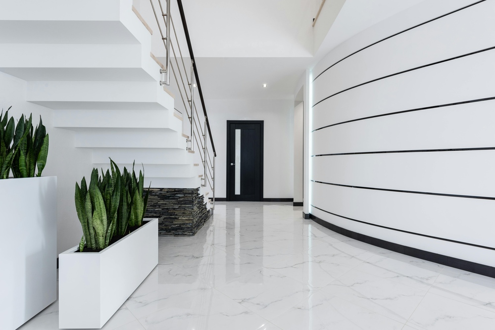 Tall snake plants placed in modern low-light hallway